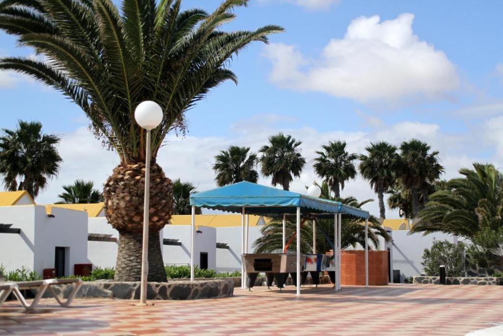 Casa Gioia Daire Caleta De Fuste Dış mekan fotoğraf